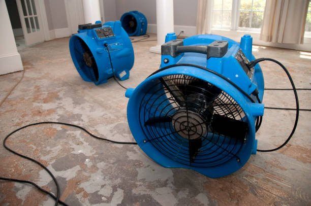 Best Ceiling water damage repair  in Gas City, IN