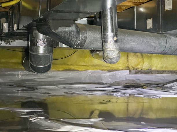 Best Water damage cleanup near me  in Gas City, IN